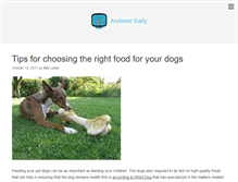 Tablet Screenshot of andoverventures.com